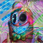 是是