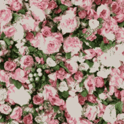 roses