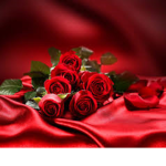 Rose and red