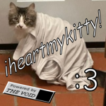 iheartmykitty!