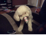 Wuzzup