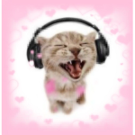We Like Music