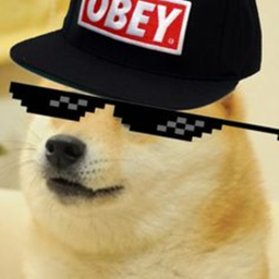 *Simon* Doge says