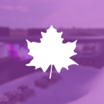 Maple Rings Academy