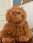 yapyap