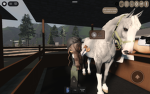 Sundale stables