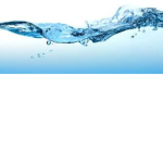 Water Groups
