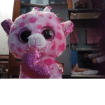 Chocolate Cookie Unicorn Club