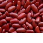 beans Studio's