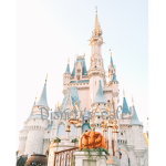 Disney cafe!
