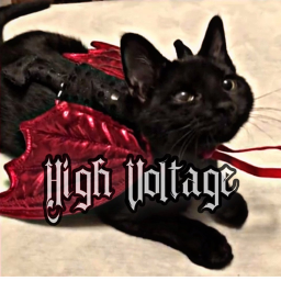 High Voltage