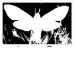 The White Moths