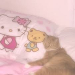 Cwootie