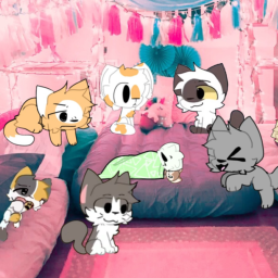kitty club