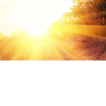 Dream For The Sun