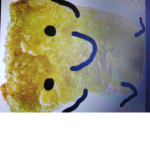 Nugblox Fam