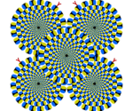 Illusion fans