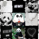 ~*panda groupie~*