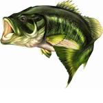 TheFishingCountry