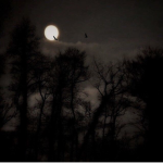 14:41
