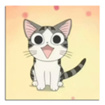 Kotki Nari :3