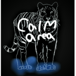 ~~| Calm Area |~~