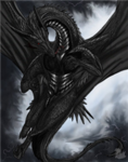 Dark Dragon Warriors