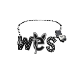 beaded wes necklace