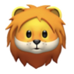 Blue Lion Clothing Group!