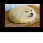 doges reunite