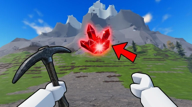NEXT UPDATE