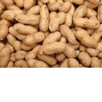 we like peanuts