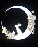[SBO:R] Moonlight Black bunnies