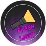Flash Light