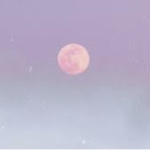 *•{Moon Drop}•*