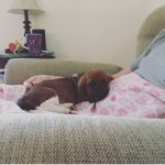 Puppy And Dog People <3 <3 <3