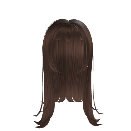 Brown Long Hair Roblox item