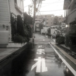 - raine’s drops -