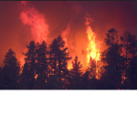 the world is on fire