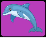 The Dolphin Team!