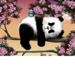 da panda positivity