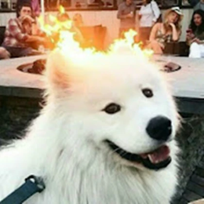 zjes's kids Roblox group icon