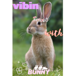 Vibe with bunny!