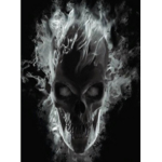 BS.O secret Skull goup