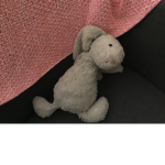 Rabbit12345