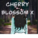 Cherry Blossom x
