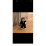 Giving mamis robux <33