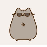 < cats >