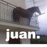 xxgatitos GrupasoXD