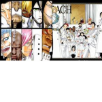 Bleach soul of end: Quincy army